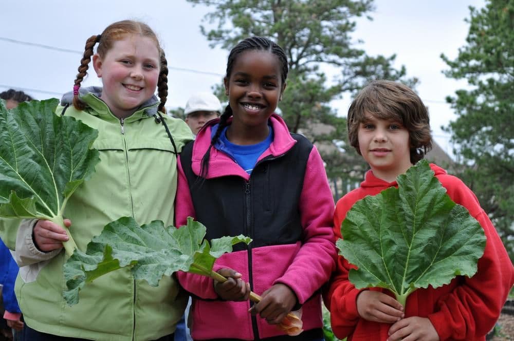Three young people hold large leaves during an outdoor learning program